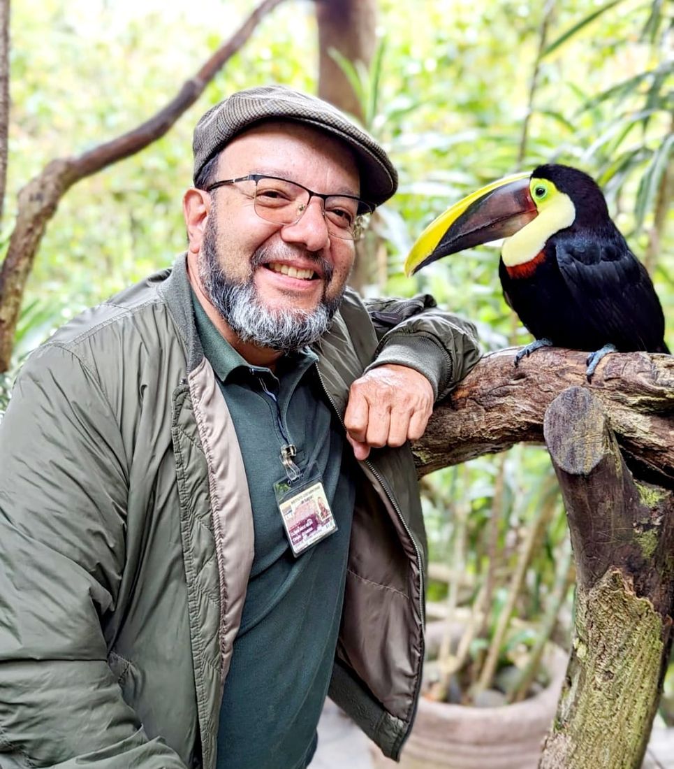Rainforest wildlife and toucan