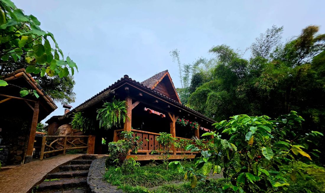 Lush garden lodge